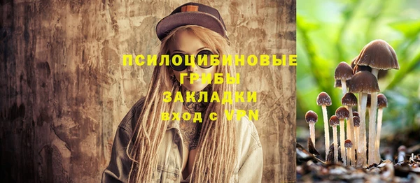 2c-b Белоозёрский