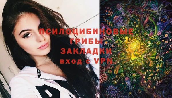 альфа пвп Беломорск