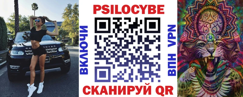 Галлюциногенные грибы Psilocybine cubensis  Мариинский Посад 